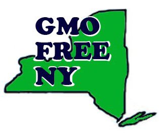GMO Free NY, image courtesy of the Organic Consumers Association 